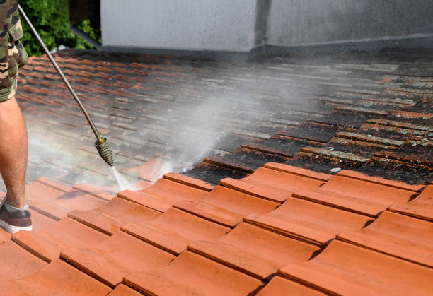 Best Power Washing Near Me  in New Port Richey East, FL