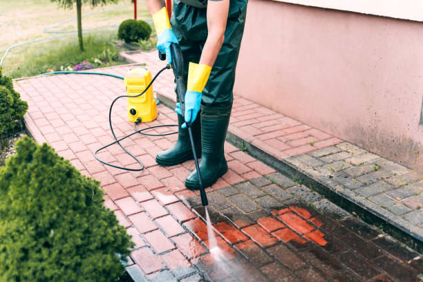 Best Residential Pressure Washing Services  in New Port Richey East, FL