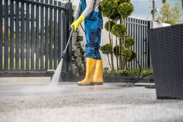 Best Affordable Power Washing  in New Port Richey East, FL