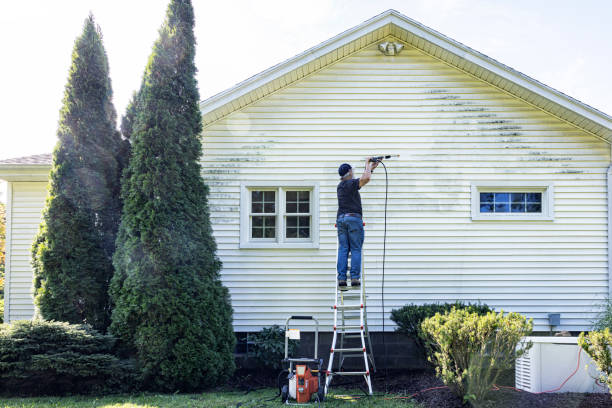 Best House Pressure Washing  in New Port Richey East, FL