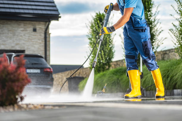 Best Roof Power Washing Services  in New Port Richey East, FL